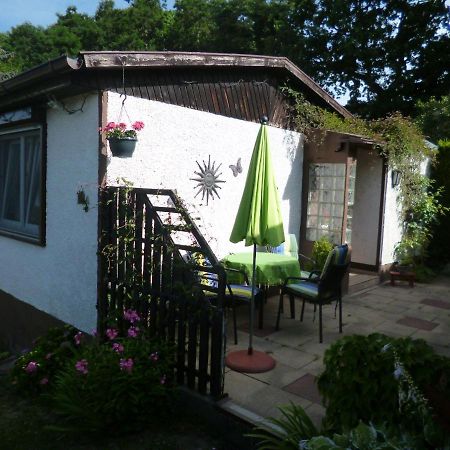 Ferienhaus Anne Thale Luaran gambar